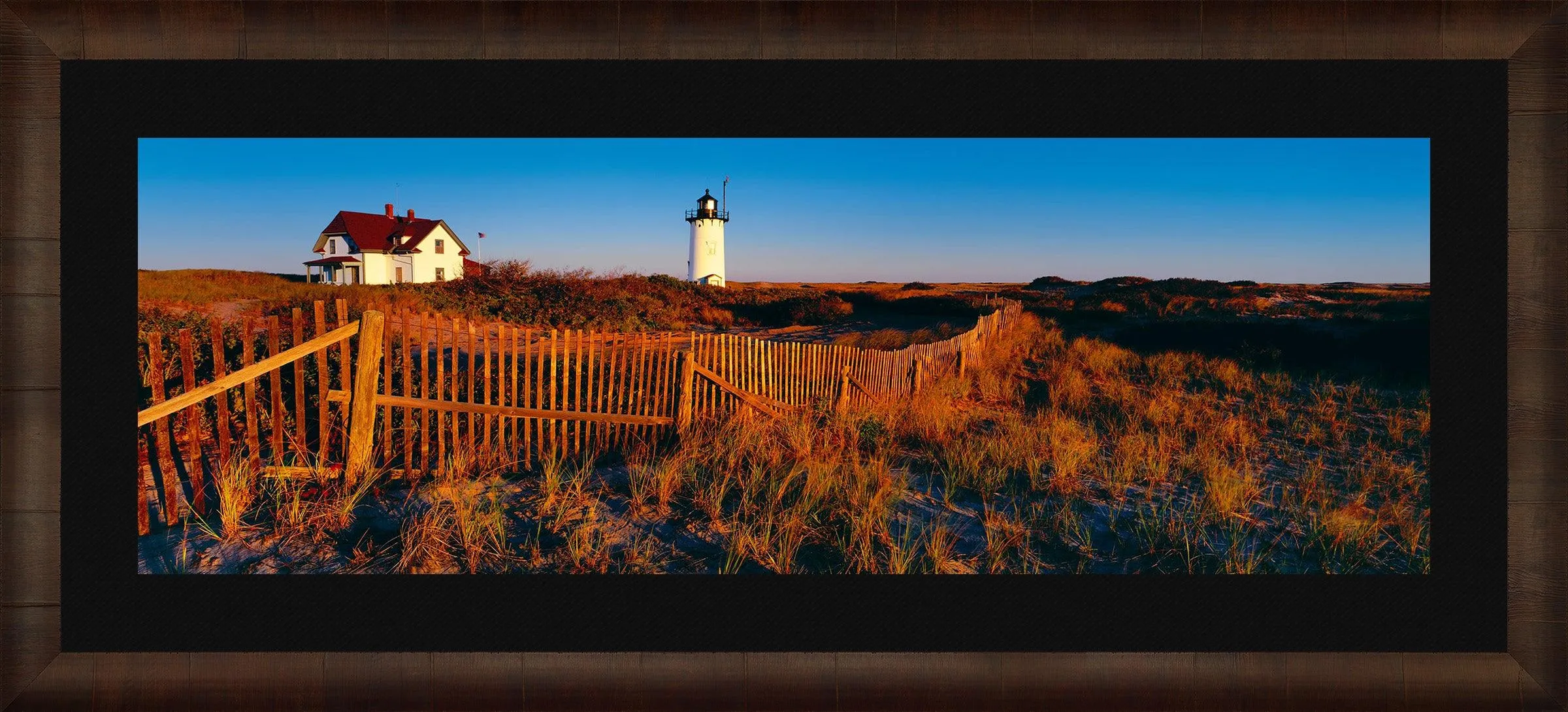 Cape Cod