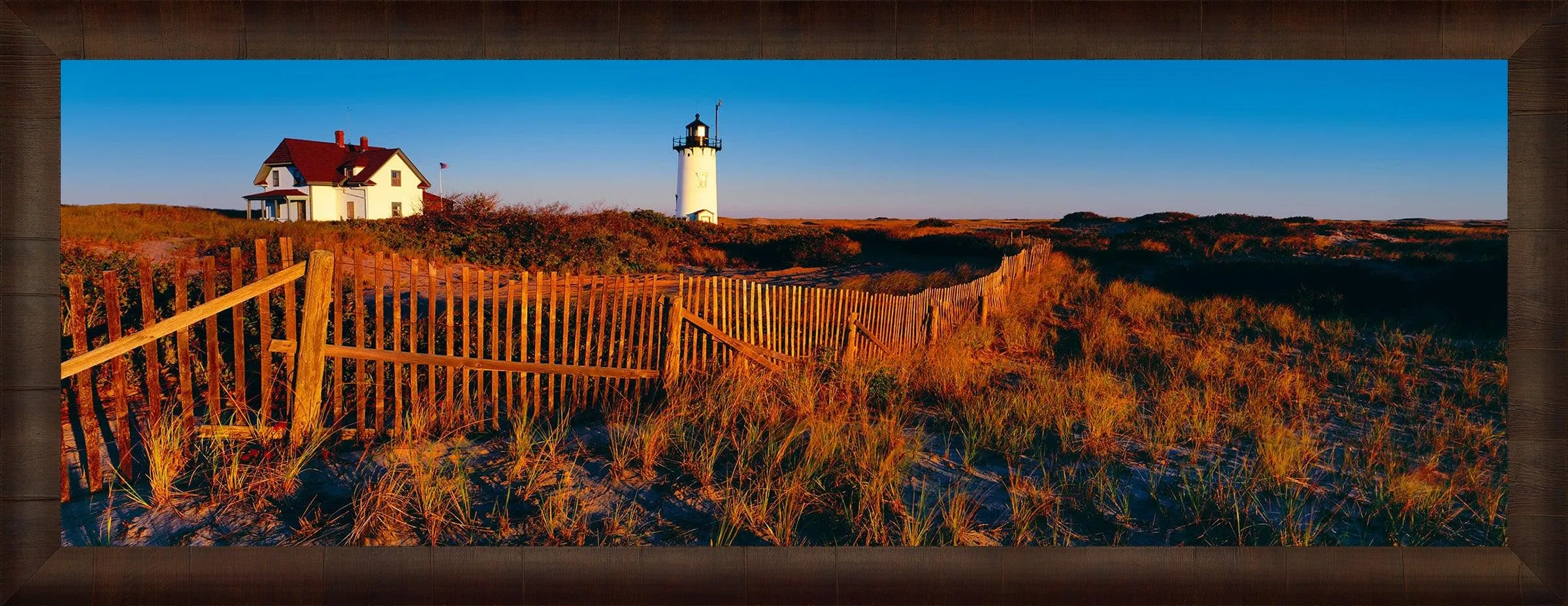 Cape Cod