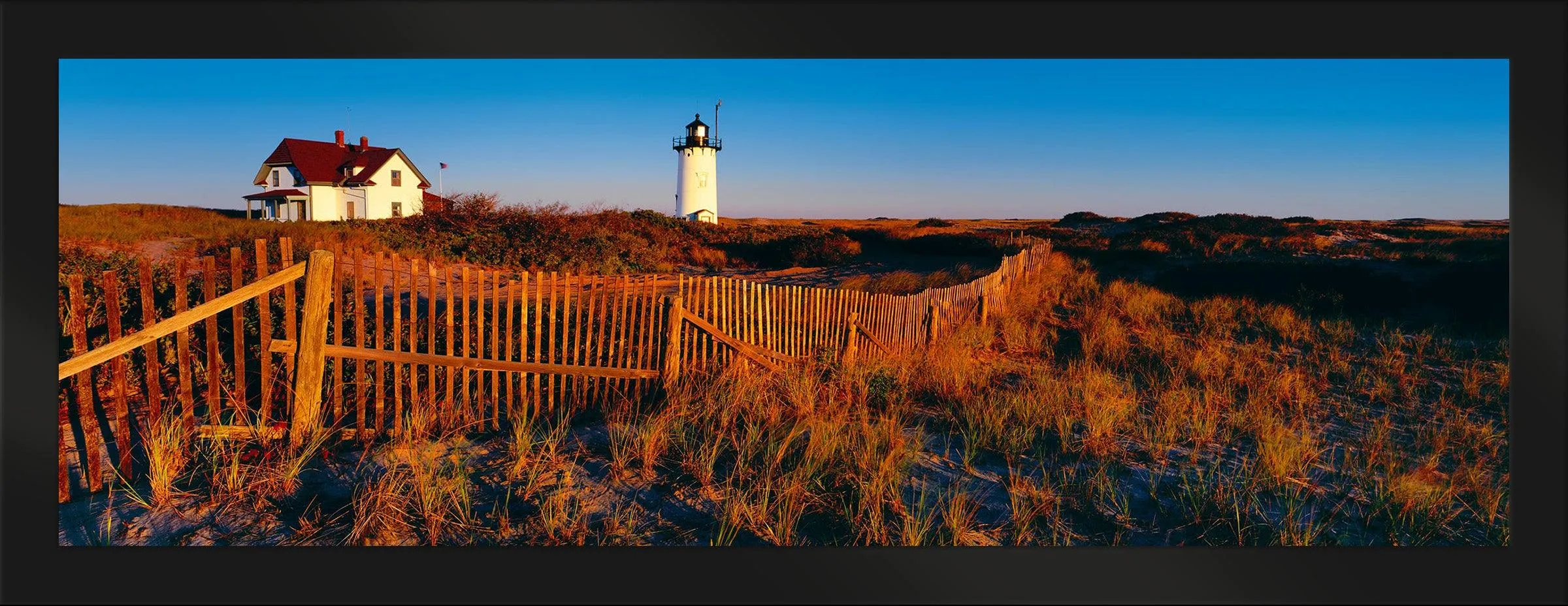 Cape Cod