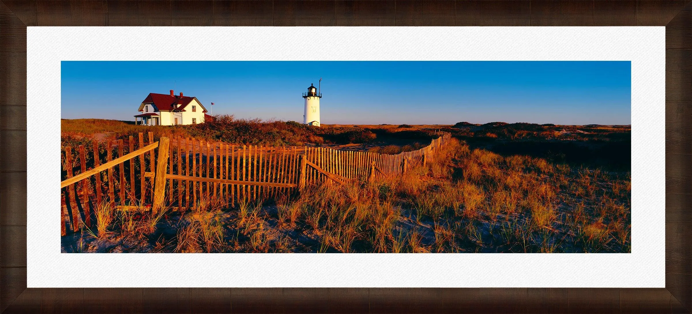 Cape Cod