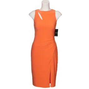 Lauren Ralph Lauren Bodycon Dress