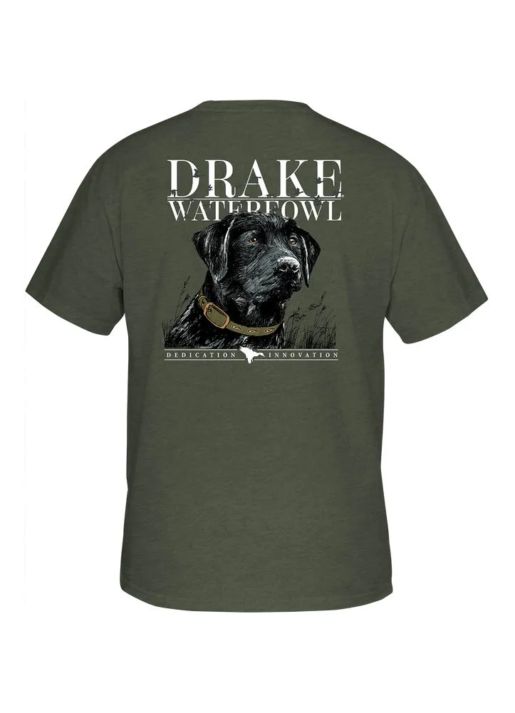 SS Black Lab Collar Tee in Kalamata Olive Light Heather by Drake